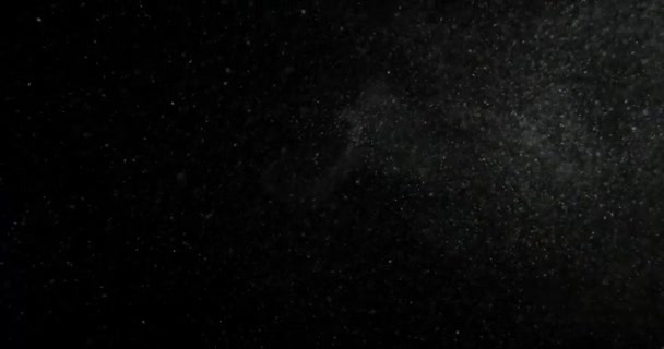 Teilchen Schwarzer Bildschirm Gefilmt Mit Roter Kamera Hochwertiges Filmmaterial — Stockvideo