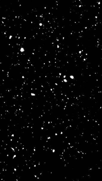 雪のフレークのオーバーレイはゆっくりと落下 黒の背景に雪の冬の夜の効果垂直ショット ストーム層高品質4K映像 — ストック動画