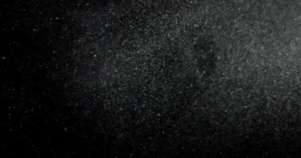 Органічні Частинки Пилу Чорному Екрані Знімався Камерою Red Повільному Русі — стокове відео