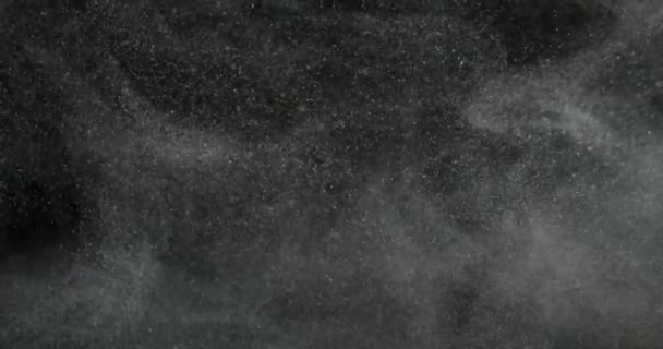 Sistema Partículas Polvo Flotando Superposición Pantalla Negra Filmado Con Cámara — Vídeos de Stock