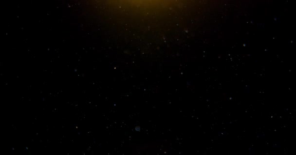Повільний Рух Справжніх Частинок Пилу Плавають Повітрі Чорному Тлі Сонячним — стокове відео