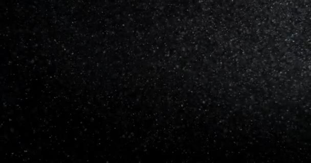 Dust Particles Overlay Black Screen Filmed Red Camera Slow Motion — Wideo stockowe