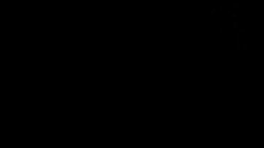 Sinematik Lens Flares Işık Sızıntıları siyah arkaplanı kaplıyor. Kırmızı kamerayla çekilmiş. Yüksek kalite 4k görüntü