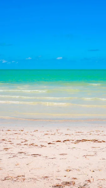 Hermosa Playa Caribeña Agua Turquesa Vacaciones Verano Playa Fondo Vertical — Foto de Stock