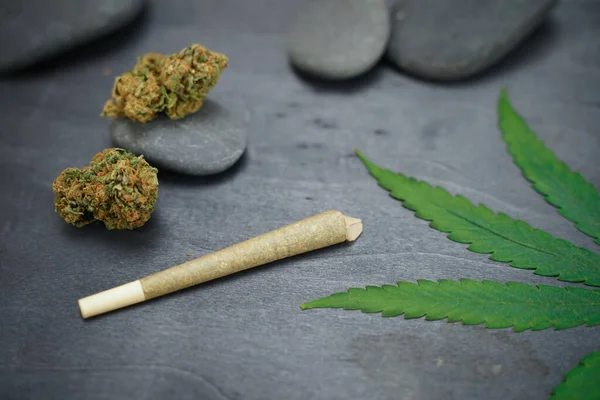 Cbd Medicinsk Marijuana Och Hampa Blad Medicinsk Cannabis Ekologiska Och — Stockfoto