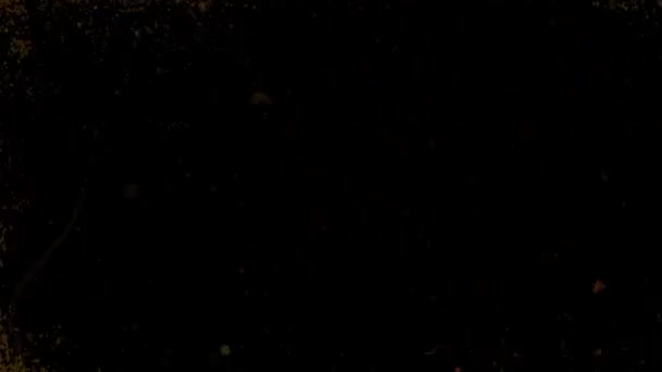 Пыль Царапины Накладываются Поверхность Глиняная Фактура Ретро Винтажный Эффект Черном — стоковое видео