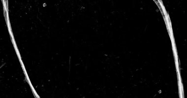 Toz ve çizikler zarar görmüş film yüzeyi. Dinamik film yuvarlanma etkisi. 8mm, 16mm, 35mm bant dokusu. Retro vintage etkisi. Yüksek kalite 4k görüntü