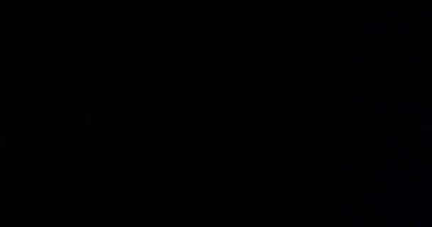 Lente Elegante Llamarada Superposición Fugas Luz Sobre Fondo Abstracto Negro — Vídeo de stock