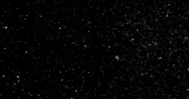 Κάθετο Σύστημα Σωματιδίων Σκόνης Που Επιπλέει Μαύρο Φόντο Υψηλής Ποιότητας — Αρχείο Βίντεο