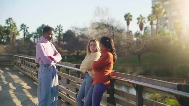在阳光明媚的日子里 三位女性朋友在公园湖边聊天 高质量的4K镜头 — 图库视频影像