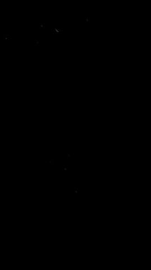 Dikey video yanığı dönüşümleri örtüyor. Eski sinema efekti. Toz ve parçacıklar birleşir. Yüksek kalite 4k görüntü