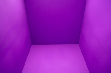 Odada mor, morumsu ve elektrik mavisi renkleri, duvarlar, zemin ve döşeme döşemeleri ile menekşe dikdörtgenlerinin simetrik desenleri yer alıyor.