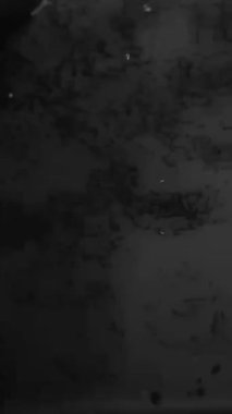 Dikey video tozu ve hasarlı grunge doku filtresi çizikleri. Yüksek kalite 4k görüntü