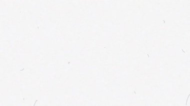 Ters ses, toz ve tahıl örtüsü. Beyaz arka plan. Yüksek kalite 4k görüntü