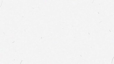 Toz, çizikler, gürültü ve buğday desenli eski film örtüsü. Beyaz arka plan. Yüksek kalite 4k görüntü