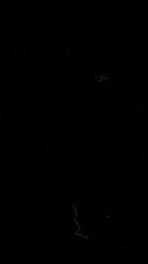 Dikey makara eski film, çizikler ve siyah arka planda izole edilmiş tahıllar. Yüksek kalite 4k görüntü