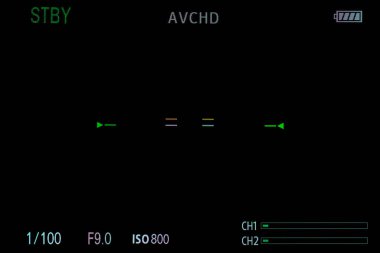 Kamera kayıt ekranı alfa kanalı ile örtüşüyor. DSR kamera çerçevesi görüntüleyici, çoklu ayarı ve zamanlayıcısı olan video kaydedici ekran. Video kameralar için 4K kamera arayüzü