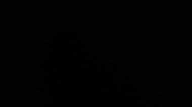 Siyah arka planda beyaz mercek parlaması. Küresel Optik Prizma Işığı soyut arka plan 4K. Yüksek kalite 4k görüntü