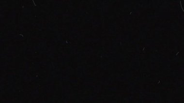 Toz ve çizikler hasarlı grunge doku örtüsü filtresi. Saç ve parçacıklar. Yüksek kalite 4k görüntü