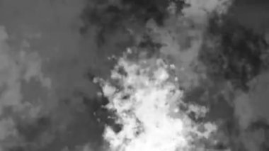 Soyut boya fırçası darbeleri arka plan için animasyon videosu. Siyah ve beyaz boya dokuları döngüye giriyor. Yüksek kalite 4k görüntü
