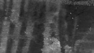 Retro doku örtüsü. Gürültü Vintage Distressed Film Grunge Gürültü Efekti. Yüksek kalite 4k görüntü