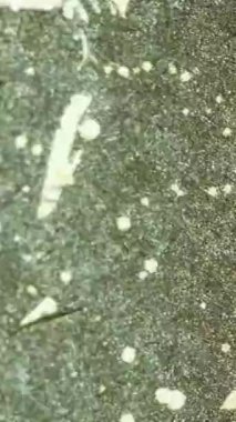 Sıcak sarı bir yüzeye yerleştirilmiş siyah lekeleri güzel gösteren soyut dokulu bir arka plan.