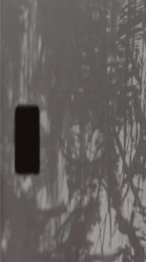 Grunge çerçeve örtüsü, toz, çizikler, eski film makarası arka planı. Yüksek kalite 4k görüntü