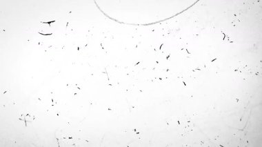 Soyut Toz, çizikler, Kara Vintage 'a Karşı Doku Parçacıkları. Süper 8 karalama kaplaması. Yüksek kalite 4k görüntü