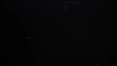 Flash Transitions Işık Sızıntısı ve Toz Sinematik Lens Fişekleri. Yüksek kalite 4k görüntü