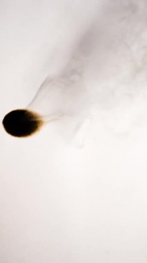 Dikey Film, video kâğıt dönüşümlerini yakıyor. Yüksek kalite 4k görüntü