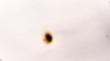 Film yakma videoları. Monokrom dokusu. Yangın arka planında yanan animasyon kağıtları. Yüksek kalite 4k görüntü