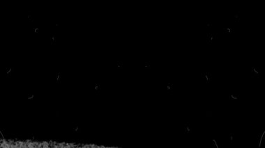 Çizikler ve toz grunge eski film yüzeyine zarar verdi. Dinamik 8mm, 16mm, 35mm bant dokusu. Retro vintage etkisi. Yüksek kalite 4k görüntü