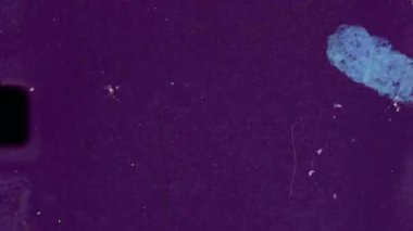 Toz ve çizikler ve ışık sızıntısı olan klasik 8mm film dokusu. Yüksek kalite 4k görüntü