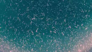 Dark Film Grain mürekkep lekeleri Döngü Kaplaması, mavi tonlar, antika kumaş. Yüksek kalite 4k görüntü