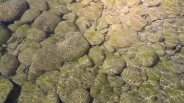 Sualtı Kaya oluşumu Çevrelenmiş Temiz ve Sakin Su Altında Yaz Arkaplanı. Yüksek kalite 4k görüntü