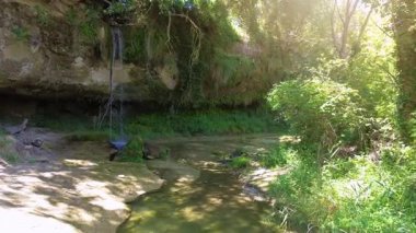 Serene Waterfall Ormanı 'ndan geçen insansız hava aracı Yeşillik Yeşillik' e yerleşmiş Gerçekten Huzurlu Doğalar İnzivasına çekildi. Yüksek kalite 4k görüntü