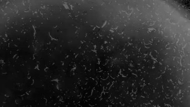 Titreyen film makarası toz ve sıkıntılı izlerle örtülmüş. Yüksek kalite 4k görüntü