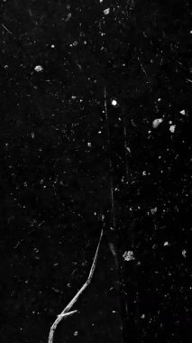 Otantik Dikey Film Tozu ve Tırmık Dokusunu Örtüyor. Yüksek kalite 4k görüntü