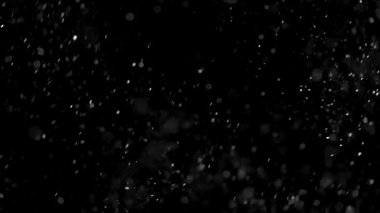 Yüzen parçacıklar büyülü atmosfer yaratıyor. Yüksek kalite 4k görüntü