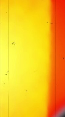 Film yanığı geçişleri örtüyor. Eski sinema efekti. Yüksek kalite 4k dikey görüntü