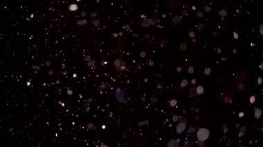 Gerçekçi Parçacık Kaplaması Düşsel Yavaş Hareket Eden Toz ve Işık Noktaları ile. Yüksek kalite 4k görüntü