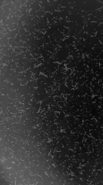 Dikey. Film Yanığı, Işık Sızıntıları ve Lens Fişekleri, geçiş için videonuzu hızlıca biçimlendirme.