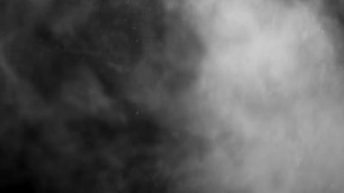 Kaplama etkisi için yüzen toz ve parçacıklar. Yüksek kalite 4k görüntü