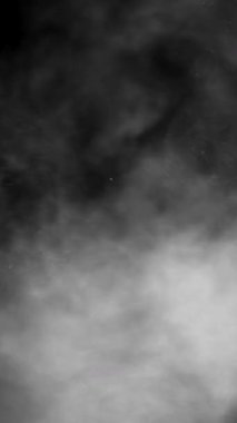 Siyah ekranda yüzen organik toz parçacıkları bulutu yavaş çekimde yüzer.