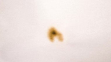 Film yakma videoları. Yangın arka planında yanan canlandırılmış kağıt.