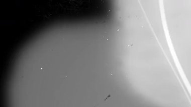 Retro vintage film kaplama etkisi. Yüksek kalite 4k görüntü