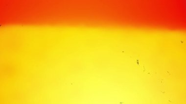 Işık sızıntısı transmisyon film yanığı örtüsü. Yüksek kalite 4k görüntü