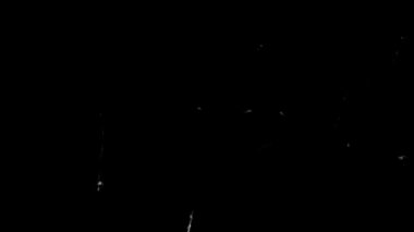 Dust Retro Vintage Overlay etkisi. Yüksek kalite 4k görüntü