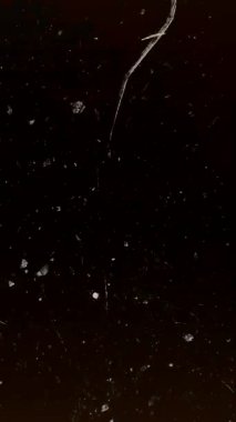 Otantik Film Kaplaması Toz, Yüzey Çizikleri. Yüksek kalite 4k görüntü