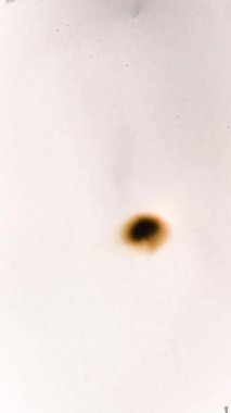 Film yakma videoları. Monokrom dokusu. Yangın arka planında yanan animasyon kağıtları. Yüksek kalite 4k görüntü